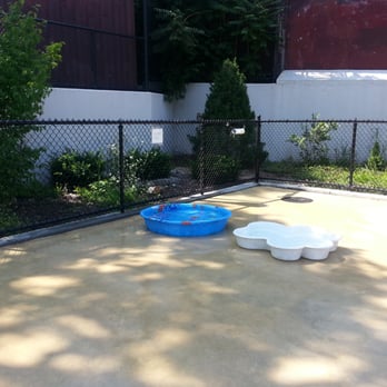 Lou Lodati Park - pools for the doggies to cool off - Playgrounds Near Me - Sunnyside, New York Lou Lodati Park - pools for the doggies to cool off - Playgrounds Near Me - Sunnyside, New York