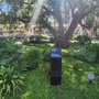 Photo of Bicentennial Liberty Tree at Liberty Circle