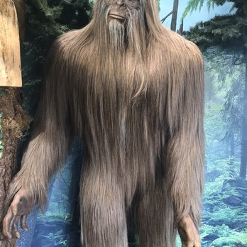 Ripley's Believe It or Not! World of Adventure - Museums Near Me - Newport, Oregon Ripley's Believe It or Not! World of Adventure - Museums Near Me - Newport, Oregon