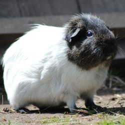 Birmingham Wildlife Conservation Park