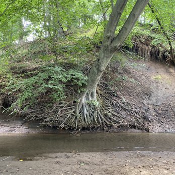 Big Brook County Park - Hiking Near Me - Marlboro, New Jersey