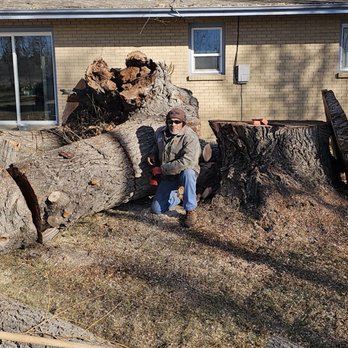 Any N All Tree Service - Tree Services Near Me - Brighton, Colorado Any N All Tree Service - Tree Services Near Me - Brighton, Colorado
