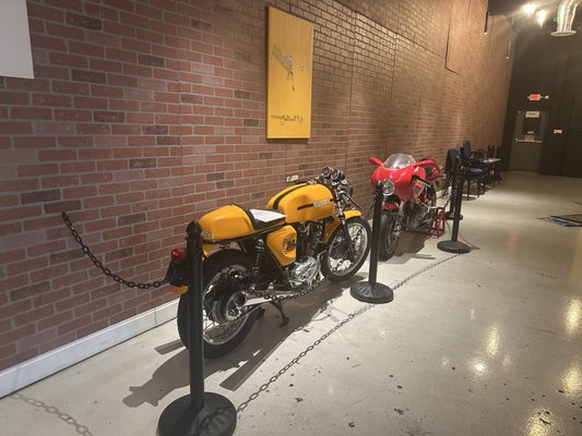 Black Salt & Black Sugar by null