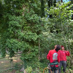 Isaac Tree Services & More