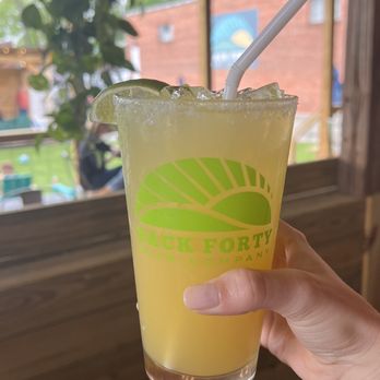 Back Forty Beer Company - Margarita - Breweries Near Me - Gadsden, Alabama