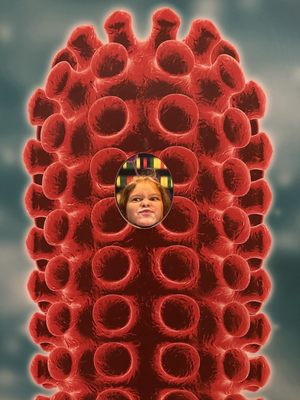 Museum of the Rockies by null