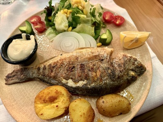 Albura Kathisma by null