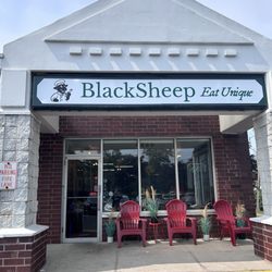 Blacksheep in Miller Place, NY