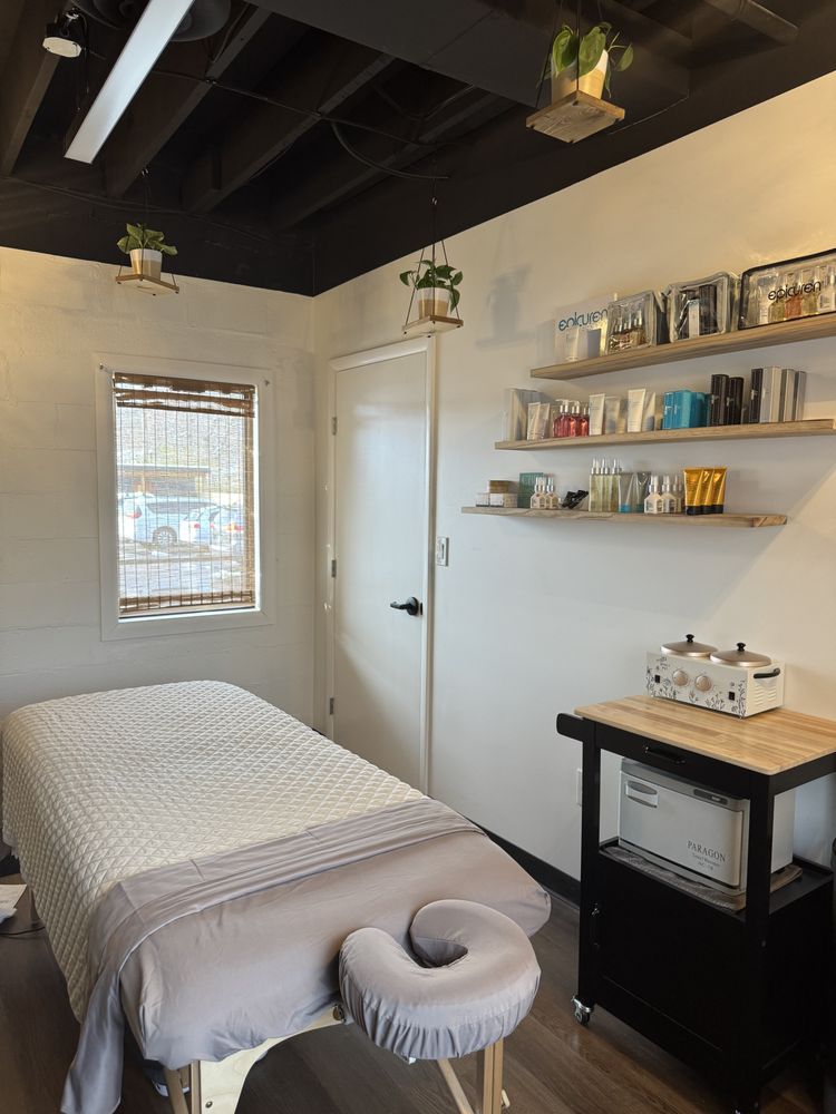 Alinea Massage and Esthetics Logo