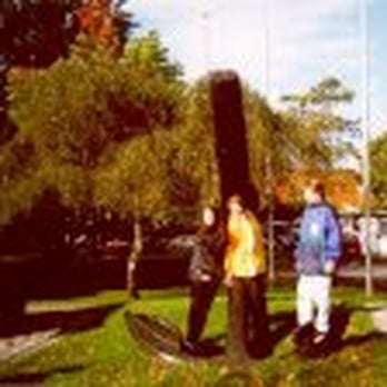 Maritimer Landgang in Elsfleth - Tours Near Me - Elsfleth, NI