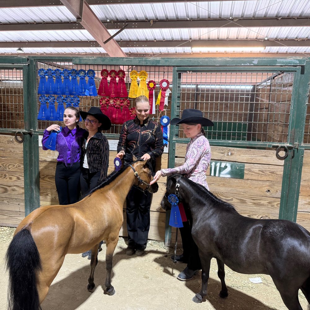 Paloma Trails - At a miniature horse show!!!!! - Parks Near Me - Katy, Texas Paloma Trails - At a miniature horse show!!!!! - Parks Near Me - Katy, Texas
