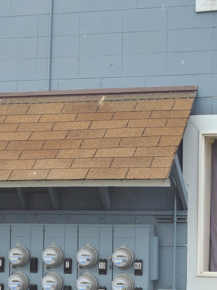 Slide of No Strings Attached Services