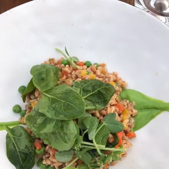 Comal - Farro salad - Latin American Near Me - Cabo San Lucas, BCS Comal - Farro salad - Latin American Near Me - Cabo San Lucas, BCS