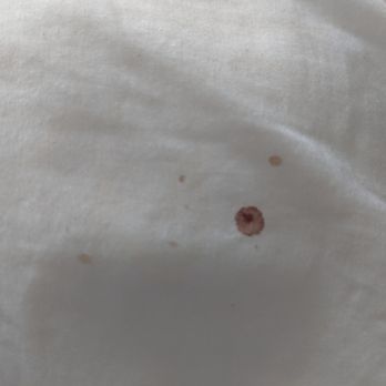 Sleep Inn - Dirty pillow - Hotels Near Me - Sumter, South Carolina