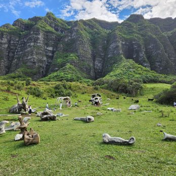 Kualoa Ranch - Hollywood tour - Tours Near Me - Kaneohe, Hawaii