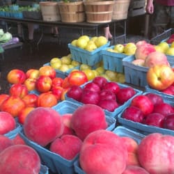 Blooming Hill Farm