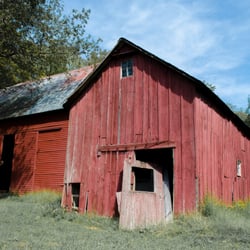 Photography by Stephen Harris