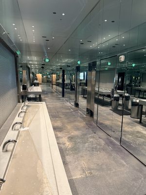 The Painted Duck by null