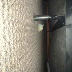 Sleep Inn & Suites Near Ft. Bragg - said little surprise under the bed