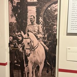 Museum of Danish America - Kong