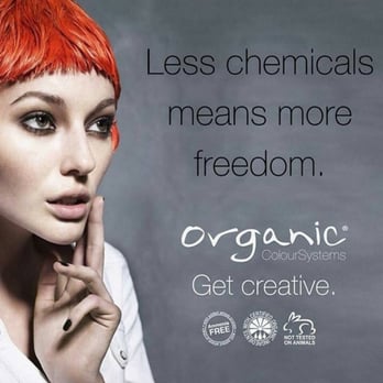 David Charles - Hair Stylists Near Me - Lawrence, Kansas David Charles - Hair Stylists Near Me - Lawrence, Kansas