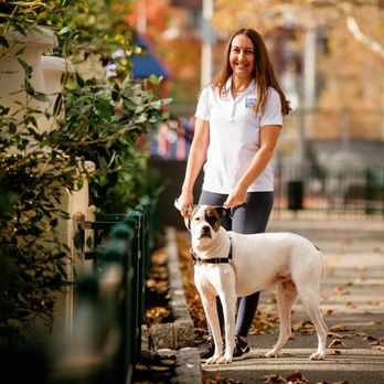 FurryTales - Pet Training Near Me - Fort Lee, New Jersey FurryTales - Pet Training Near Me - Fort Lee, New Jersey