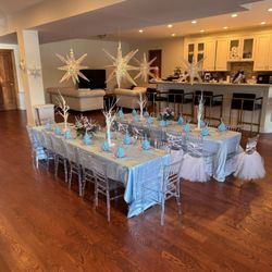 Elsa themed birthday party for my 3 year old
