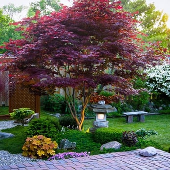 KC Landscaping - a garden with a tree and a bench - Gardeners Near Me