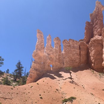 Canyon Trail Rides - Horseback Riding Near Me - Tropic, Utah Canyon Trail Rides - Horseback Riding Near Me - Tropic, Utah