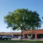 Photo of Cash Store