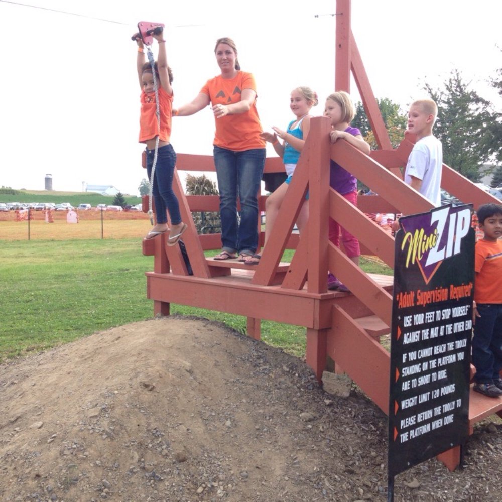 Mini Zip-line Mini Zip-line