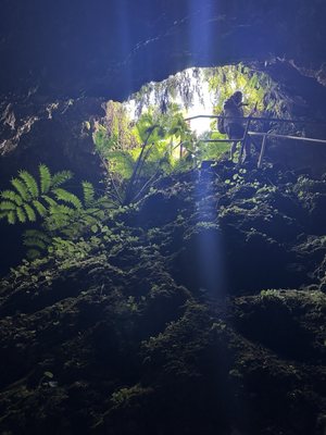 Hana Lava Tube by null