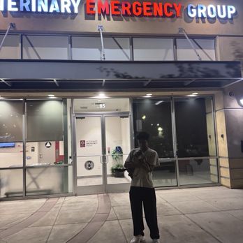 Veterinary Emergency Group - Emergency Pet Hospital Near Me - San Jose, California Veterinary Emergency Group - Emergency Pet Hospital Near Me - San Jose, California