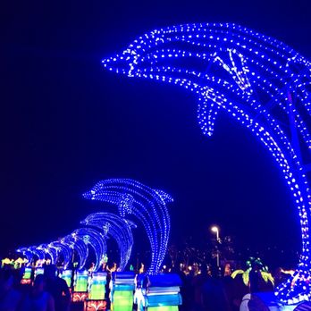 Chinese Lantern Festival - Dolphin line up at the Boca Chinese Lantern Festival - Festivals Near Me - Miami, Florida Chinese Lantern Festival - Dolphin line up at the Boca Chinese Lantern Festival - Festivals Near Me - Miami, Florida