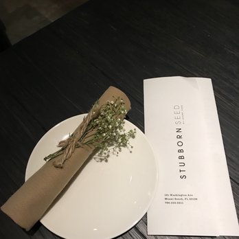 Stubborn Seed - Very nice presentation - New American Near Me - Miami Beach, Florida