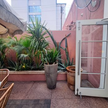 Palma - The image shows a small outdoor patio with a pink wall and a glass door on the right side. Several potted plants, including a tall cactus and other greenery, are arranged along the wall. The patio has a textured floor with a section of brick paving and wicker chairs partially visible on the left. An outdoor fan is mounted on the wall near the ceiling, and some pipes are visible above the wall. The background includes tall buildings and utility wires. - Sushi Bars Near Me - Phoenix, Arizona