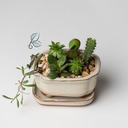 BUDS Plant Boutique