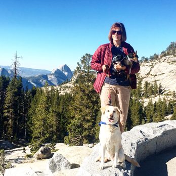 Apricot Veterinary Clinic - Olmstead Point in Yosemite - Veterinarians Near Me - Patterson, California Apricot Veterinary Clinic - Olmstead Point in Yosemite - Veterinarians Near Me - Patterson, California