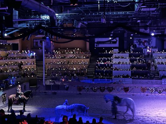 Medieval Times Dinner & Tournament by null