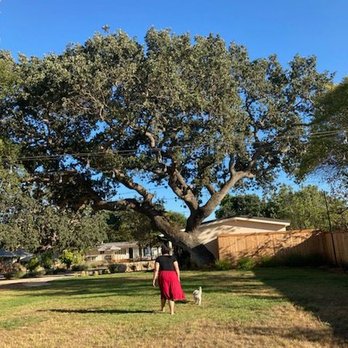 Hotel Ynez - Lots of grass to walk Pfeiffer. - Hotels Near Me - Solvang, California