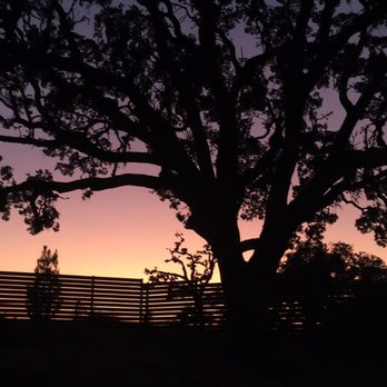 Sun Outdoors Paso Robles - Our first night had a gorgeous sunset! - RV Parks Near Me - Paso Robles, California Sun Outdoors Paso Robles - Our first night had a gorgeous sunset! - RV Parks Near Me - Paso Robles, California