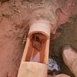 Extraordinary Plumbing