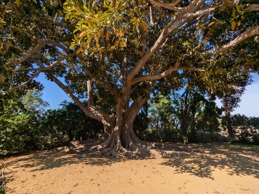 Rancho Los Cerritos by null