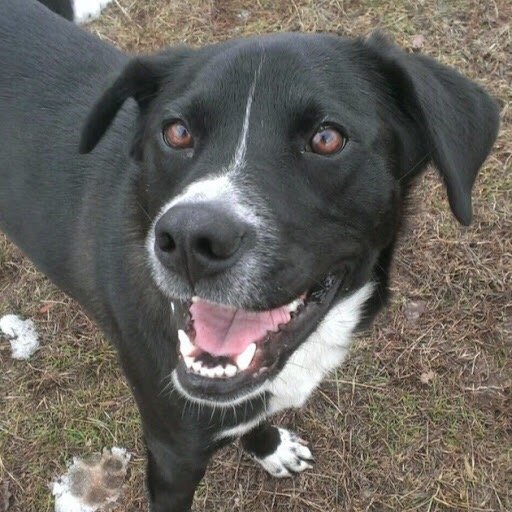 Thomas Kilgannon III, DDS - Tappan Dental