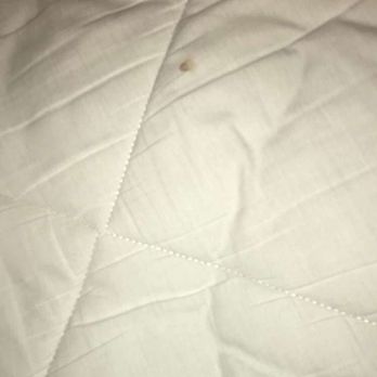 Holiday Inn Express & Suites - Bloody sheets - Hotels Near Me - Bloomington, Indiana Holiday Inn Express & Suites - Bloody sheets - Hotels Near Me - Bloomington, Indiana