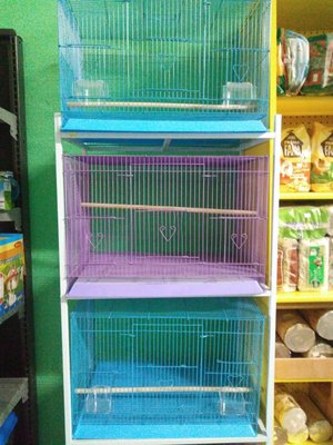 Pete’s Pet Supply by null