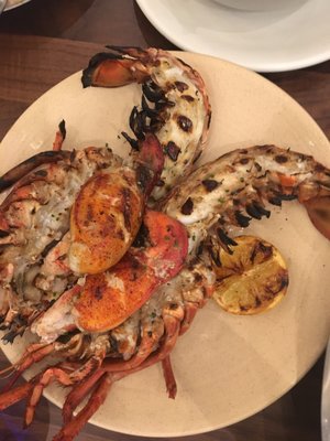 AmperSandwich by null