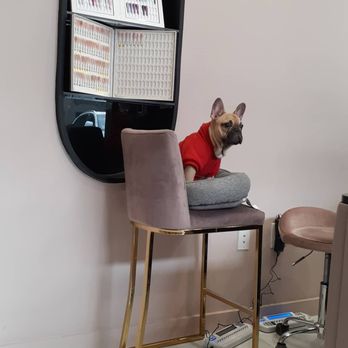 Gloss Nail Bar - A cute puppers to great you - Nail Salons Near Me - Houston, Texas
