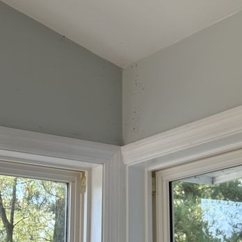 Joe Lamb, Jr. & Associates - All the dead bugs that were never cleaned - Vacation Rental Agents Near Me - Kitty Hawk, North Carolina Joe Lamb, Jr. & Associates - All the dead bugs that were never cleaned - Vacation Rental Agents Near Me - Kitty Hawk, North Carolina