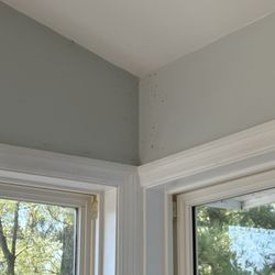 Joe Lamb, Jr. & Associates - All the dead bugs that were never cleaned